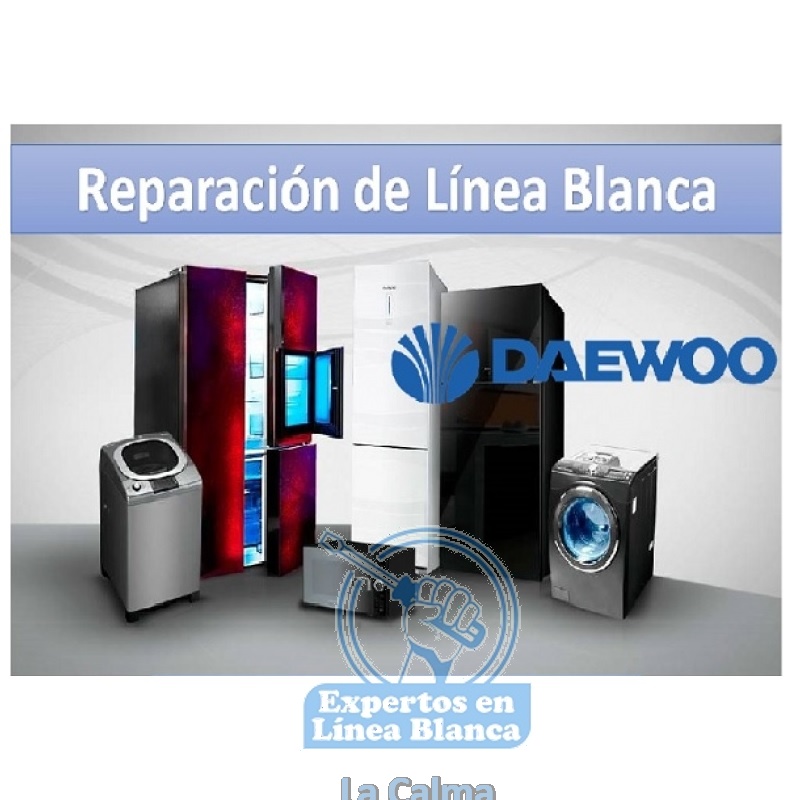 Reparación de Línea Blanca Daewoo